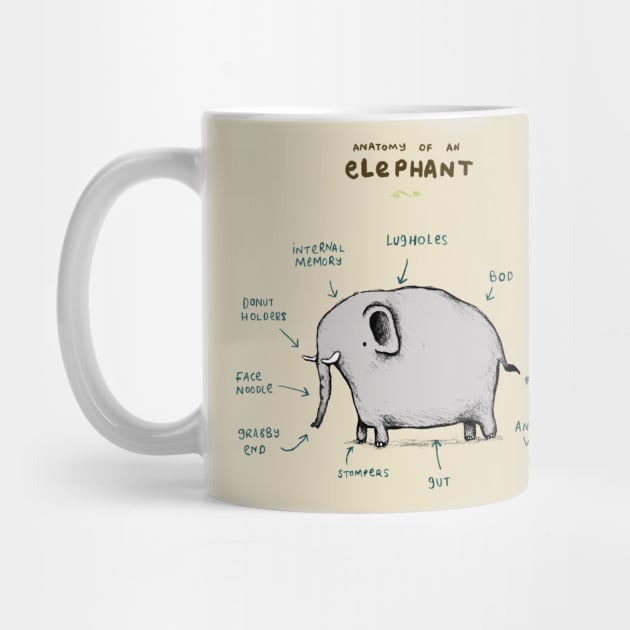 Anatomy of an Elephant by Sophie Corrigan